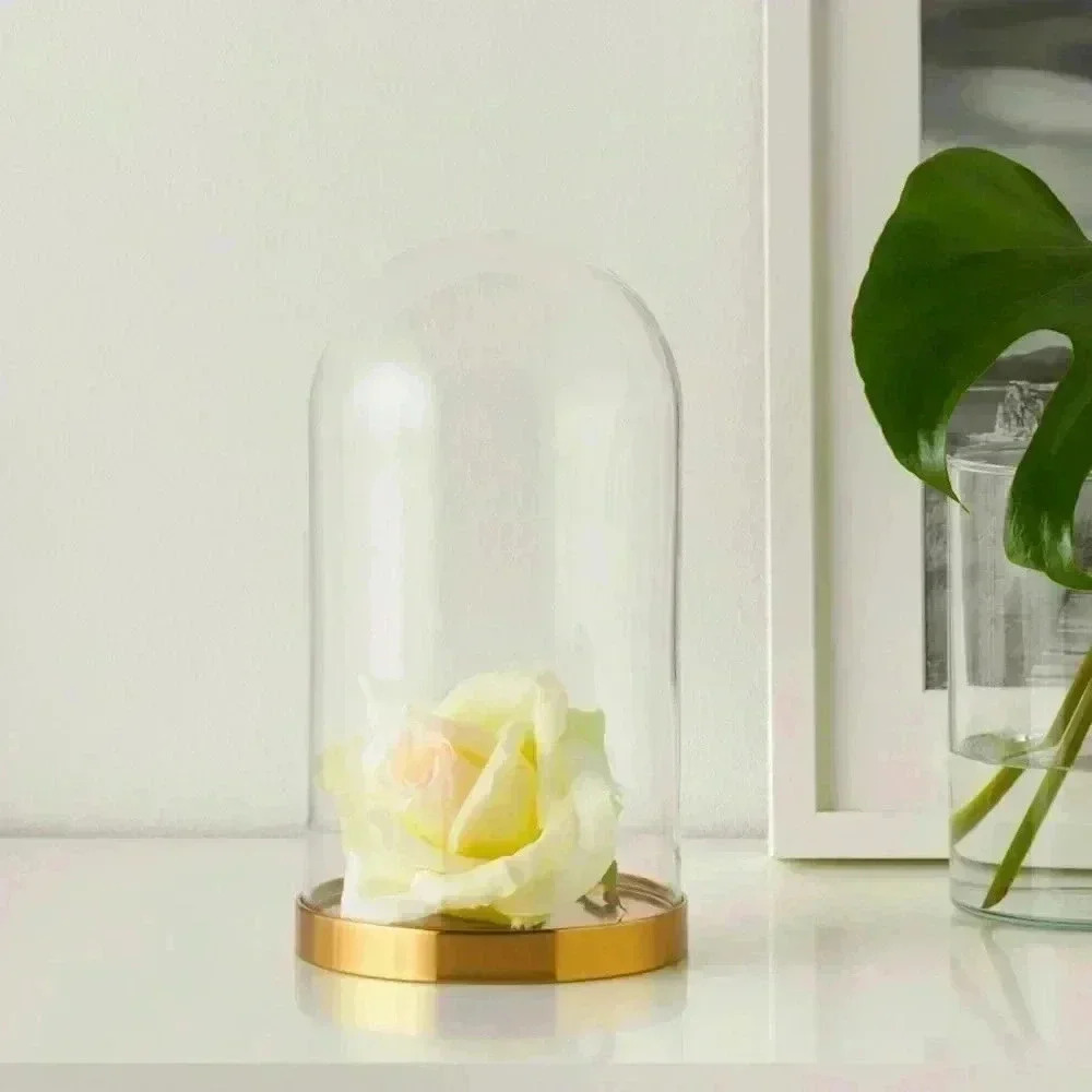 IKEA BEGÅVNING Glass Dome with Base – 10”